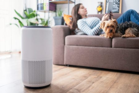 4 moduri simple de a detoxifia aerul din casa ta: Sfaturi utile