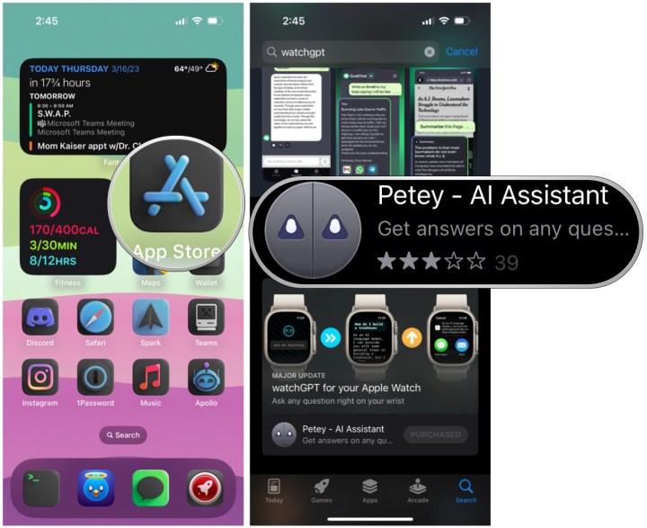 Lansati App Store, cautati watchGPT/Petey, selectati pentru a cumpara si descarca