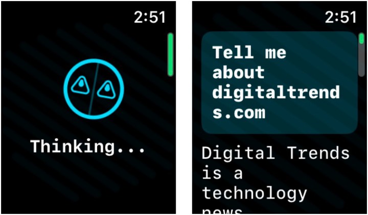 Aplicatia WatchGPT/Petey de pe Apple Watch se gandeste la un raspuns si returneaza un rezultat