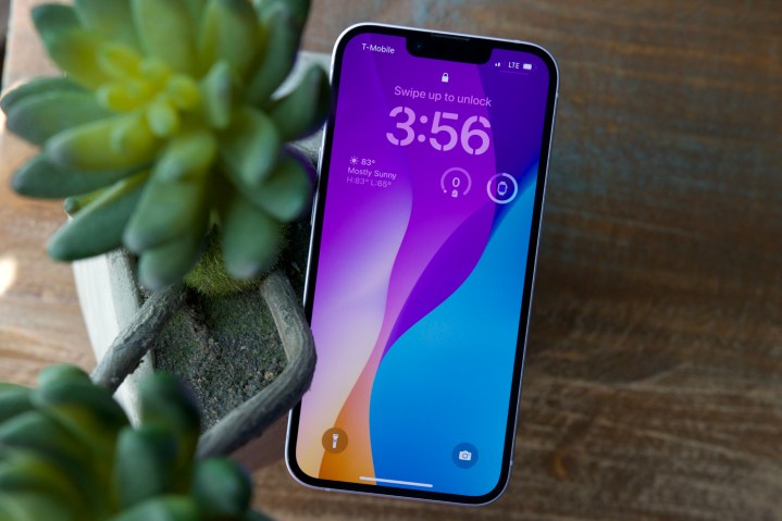 Un iPhone 14 intins deasupra unei suculente. Afisajul sau este pornit si arata ecranul de blocare.