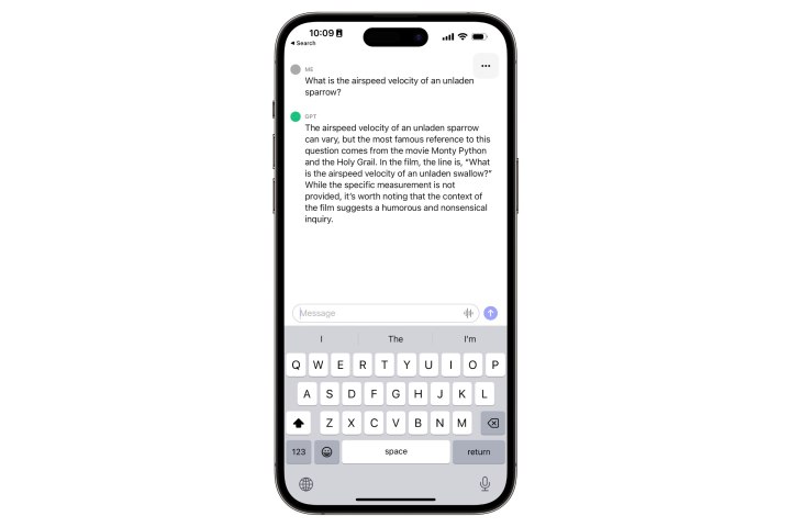 ChatGPT pe iPhone fiind intrebat despre viteza unei randunica fara incarcatura.